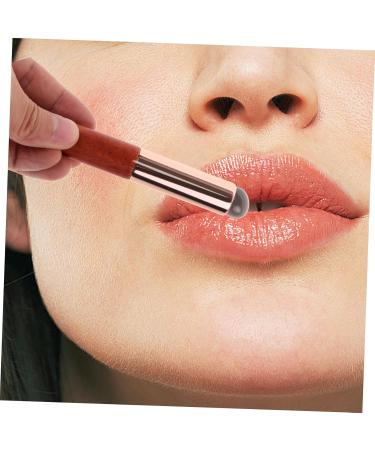Silicone Lip Brush Lipstick Makeup Tool Lip Brush for Women Lip Gloss Brush Makeup Brush Concealer Brush Lip Applicator for Lip Balm Lip Applicator for Lip Gloss Lip Wands Plastic Didiseaon - Buy Online on GoSupps.com