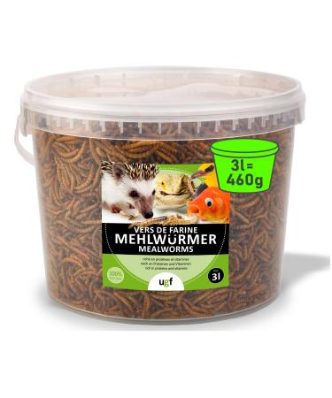 UGF - Premium mealworms dried 3 liters of bucket - 460g bird feed wild birds all year round hedgehog feed squirrel feed hamster feed mealworms 3 l (1 Pack) - Buy Online on GoSupps.com