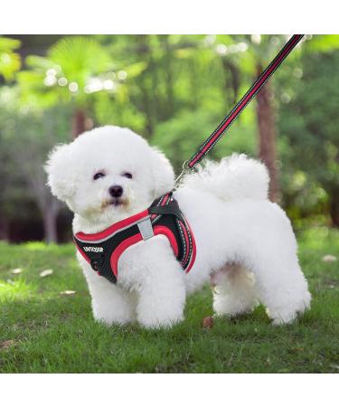 UVTQSSP Dog Harness for Small Dogs with Leash - Padded Puppy Dishes Black & Red XS/XXS - Buy Online on GoSupps.com