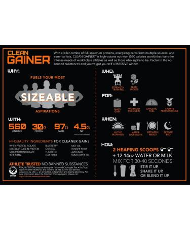 Rivalus Rival Nutrition Clean Gainer | High Protein Lean Mass Gainer Powder | 560 Calories 30g Protein 99g Multi-Source Carbs | 15 Servings (5LB Chocolate) Chocolate 15 Servings (Pack of 1) - Buy Online on GoSupps.com