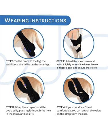 Rear Leg Braces for Small Dogs | Rear Leg Brace Support Dog Knee Brace Neoprene Hip Brace Adjustable Traction Belt for Knee for Cruciate Ligament Injury for Torn ACL Leg L left - Buy Online on GoSupps.com