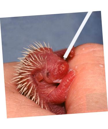 PopetPop 6-Piece Reusable Parrot Water Hose - Plexiglass Tube for Birds - Soft Accessories for Nymphensittich & Pets - 0.7x6.4cm - Buy Online on GoSupps.com