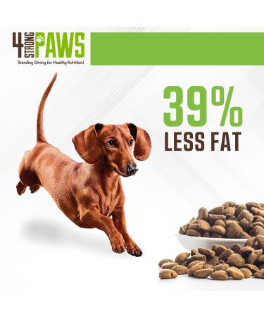 4 STRONG PAWS Chicken and Salmon Dry Puppy Food - 28 Pound High Protein Puppy Food - Grain Inclusive Dog Food for Healthy Dog Bones Chicken and Salmon Grain Inclusive 12.7 kg (Pack of 1) - Buy Online on GoSupps.com