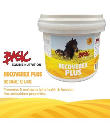 Recoverex Plus (5 Kilogram) - Buy Online on GoSupps.com