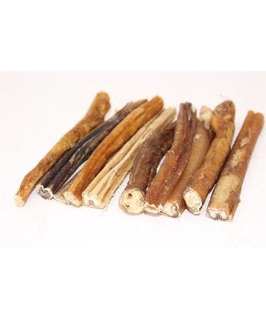 Pet Guru PREMIUM Bulls PIZZLES Pizzle Bully Sticks Dog Treat Chew (10)