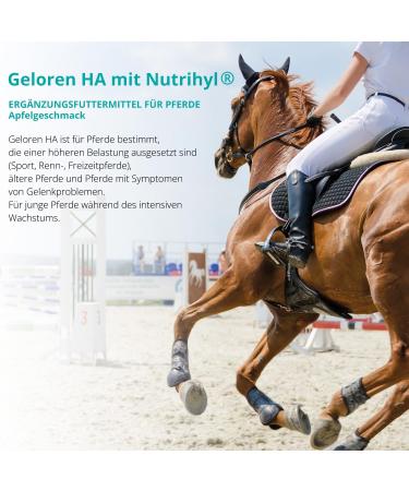 Natural Horse Joint Additives with Hyaluronic Acid - Apple Flavor Joint Cubes 450g | Optimize Joint Health for Horses - Buy Online on GoSupps.com