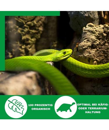 Novatool 6x Terrarium Brick - 48L Coconut Substrate for Aquariums & Small Animals | Perfect for Reptiles Rabbits and Hamsters - Buy Online on GoSupps.com