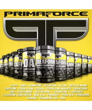 Primaforce Alcalean Acetyl-L-Carnitine Vegetarian Capsules 500 mg 100 Count - Buy Online on GoSupps.com