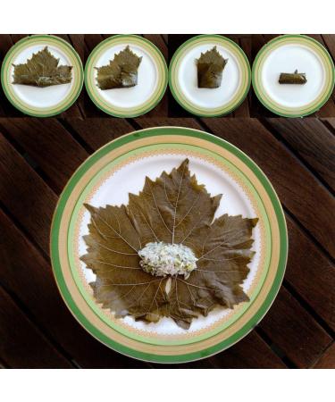 Hand-Picked Greek Vine Leaves - Soultanina Variety for Dolmades | 550gr Drained Weight (110 Leaves) - Buy Online on GoSupps.com