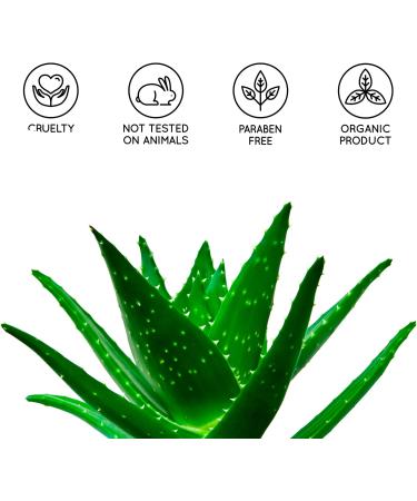 1000 ml Pure Aloe Vera Gel - DIY Face & Body Care Moisturizer | Hair Repair, After Sun Soothing Gel | 100% Natural | Fresh Canary Islands Aloe Vera - 1 l Pack - Buy Online on GoSupps.com