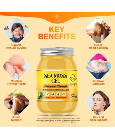 Mango & Pineapple Sea Moss Gel (500G) by ArganSea | Natural and Organic Made with Fresh Wildcrafted Irish Sea Moss from St Lucia | Dr Sebi Approved | 92 Vitamins Immune Boost Superfood - Buy Online on GoSupps.com