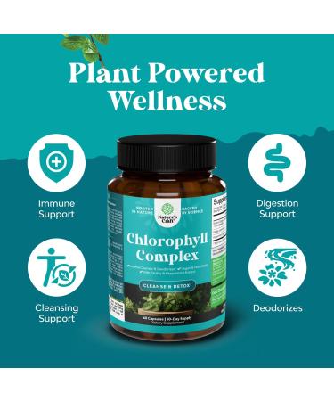 Chlorophyll Capsules for Cleanse and Detox Support - Internal Deodorant Pills for Body Odor with Mint & Parsley Extract Healthy Skin Immunity & Digestive Support - Vegan Non-GMO & Gluten Free (60ct) Capsules 60 Count (Pack  - Buy Online on GoSupps.com