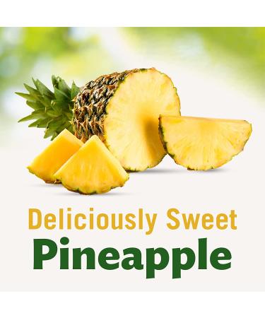 Del Monte Deluxe Gold Pineapple Slices in 100% Juice - 12 Pack 20 oz Cans - Buy Online on GoSupps.com