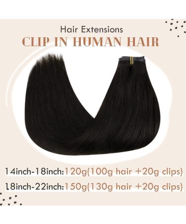 Vivien Real Hair Extensions - Natural Black Clip-in Remy PU Extensions - 22 Inch 7pcs/140g #1B - Luxurious Volume & Quality - Buy Online on GoSupps.com