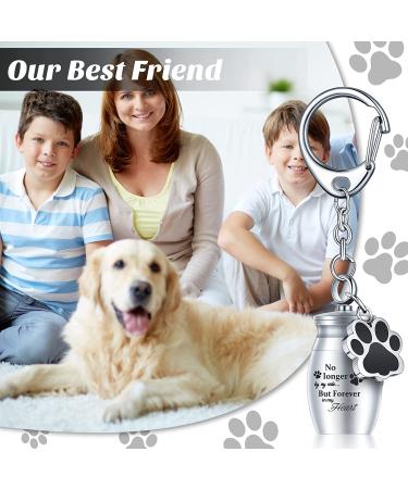 Tudomro 2 Pcs Pet Urns Keychain with Storage Bags - Small Pet Ashes Keepsake for Dog Cat Cremation Jewelry - Buy Online on GoSupps.com