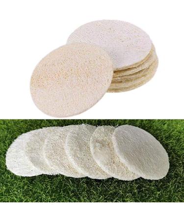 INTVN Natural Loofah Sponge - 20pcs Eco-Friendly Kitchen & Facial Cleaning Scouring Pads - Buy Online on GoSupps.com