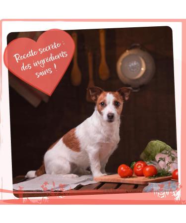 Wild Animal Premium Mini Dog Food for Small Breeds Chicken with Sweet Potato and Herbs Grain Free Pack of 1 (1 x 6 kg) - Buy Online on GoSupps.com