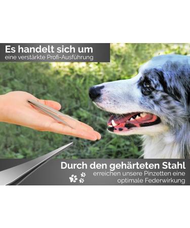 Professional Tick Removal Tweezers - 11cm Stainless Steel for Foreign Body & Splinter Removal | International Shipping - Buy Online on GoSupps.com