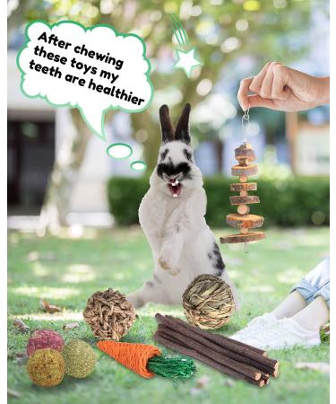 Pweituoet Rabbit Toys for Small Animals - 100% Natural Handmade Chew Treats for Bunny, Hamster, Guinea Pig, Chinchilla, Rat | Variety of 14 Types - Buy Online on GoSupps.com