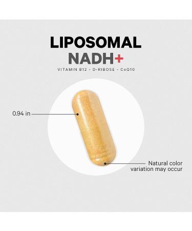 Codeage Liposomal NADH+ CoQ10 Supplement | Energy & Cognition Support | Vitamin B12, D-Ribose, Bioenergy Ribose | 2-Month Supply | Non-GMO | 60 Capsules - Buy Online on GoSupps.com