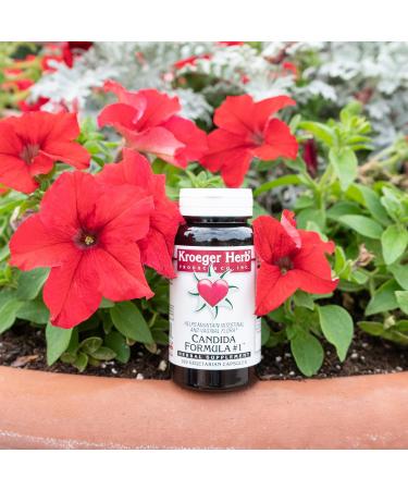 Kroeger Herb Candida Formula #1 Cleanse - Yeast Support Supplement for Women & Men | 100 Capsules Intestinal Health - Buy Online on GoSupps.com