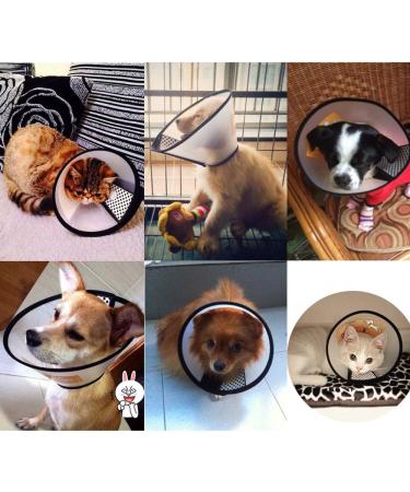 Senpusi Rechenrause - Protective Plastic Elizabethan Collar for Cats Small Dogs & Rabbits | Size 5 (23-27cm) - International Shipping Available - Buy Online on GoSupps.com