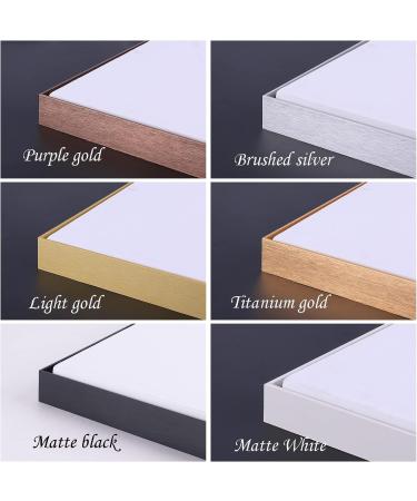 Emuledo Metal Frame Floater for 20X16 Canvas - Light Gold | DIY Home Decor & Wall Art Painting Frame Kit - Buy Online on GoSupps.com