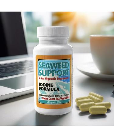 Maine Coast Sea Vegetables Seaweed Support Iodine Formula | Source of Iodine from Seaweed | Daily Use Iodine Supplement | Organic Alaria Rockweed Sea Lettuce Dulse & Bladderwrack blend | 60 Capsule - Buy Online on GoSupps.com
