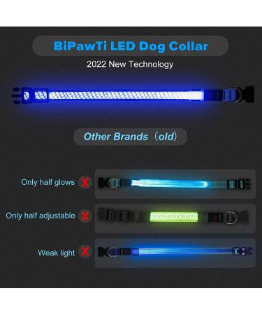 Glow in The Dark LED Dog Collar - Rechargeable Hi-Visibility Light Up Collar for Small, Medium, Large Dogs - Blue - Medium - Buy Online on GoSupps.com