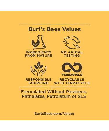 Burt's Bees Refining Cleanser with Natural Retinol | 6 oz Renewal - Buy Online on GoSupps.com