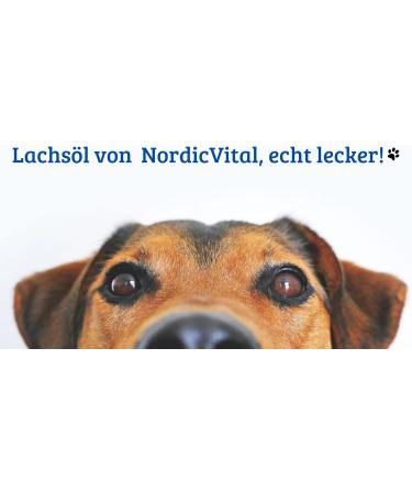 Buy Nordicvital Salmon Oil 5L Canister for Dogs Cats & Horses | 100% Premium Omega 3 6 & 9 Natural BARF Oil - Buy Online on GoSupps.com