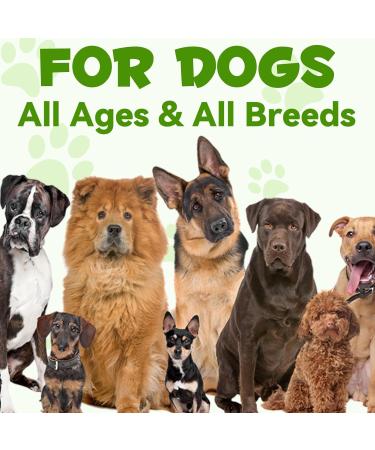 Probiotic for Dogs 3 in 1 probiotics Drops for Gut Health Relieve Diarrhea and Indigestion Dog Digestive Immune Bowel Support for All Ages and Breeds Dogs Bacon Flavor - 60ml / 2 fl.oz - Buy Online on GoSupps.com