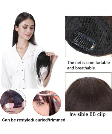 Bangs Clip in Bangs Real Human Hair Bangs for Women Clip on French Bangs Real Hair Nice Natural Flat Neat Bangs with Temples 1Pcs for Women Curved Bangs for Daily Wear (Color : #1) - Buy Online on GoSupps.com