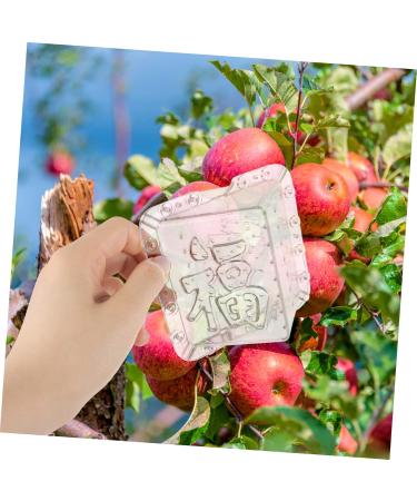 Kisangel 4 Pcs Square Apple Molds Vegetable Fruit Styling Fruit Stereotypes Melon - Buy Online on GoSupps.com