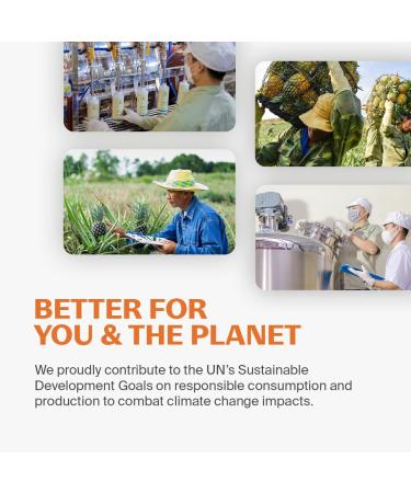 Fuwa3e Pineapple Enzyme Natural Foam Hand Wash Tangerine - 10.1oz 1 Pack - 99% Organic Hand Wash Soap with Fermented Pineapple Peels - Non Toxic Hand Soap Sensitive Skin Safe With Pure Essential Oil Oriental Tangerine 10.1  - Buy Online on GoSupps.com