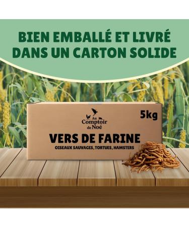 Dried Flour Worms 5 kg Au Comptoir de No 100% Natural Rich in Protein and Good Fats to Fat Flour - Buy Online on GoSupps.com