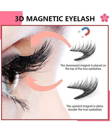 AUOCATTAIL Magnetic Eyelashes Kit - 12 Pairs 3D Dual Magnets False Eyelashes - Reusable and Natural - No Glue Needed - Buy Online on GoSupps.com