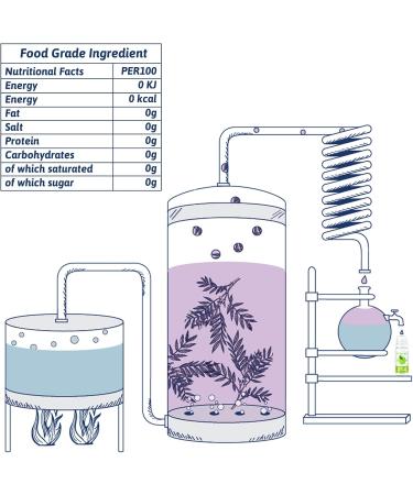 Food Flavouring Oil- 12 Pack Concentrated Flavoring Oil Flavour Drops Extracted Oil Liquid Lip Gloss Flavouring Oil for Baking Cooking Cosmetics Soap Making- Water & Oil Soluble - 6ml 12 Food Flavouring Oil - Buy Online on GoSupps.com