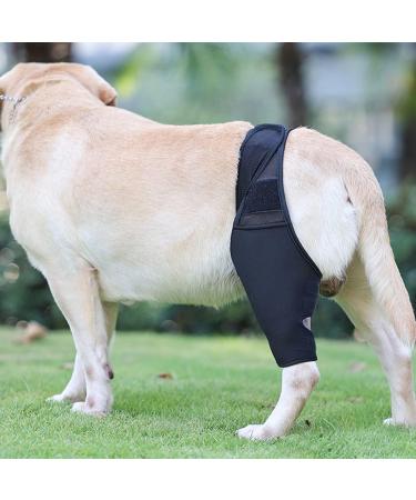Dog Leg Brace Elbow Brace Protector Pads for Small Dogs and Cats Support Elbow Hygroma Shoulder Dysplasia Osteoarthritis Elbow Calluses and Shoulder Dislocation(XL) X-Large - Buy Online on GoSupps.com