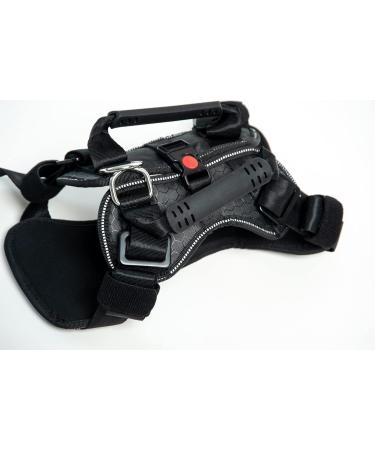 DogMaster 2.0 XL Dog Safety Belt - Black | Premium Pet Travel Harness for Dogs | International Shipping Available - Buy Online on GoSupps.com