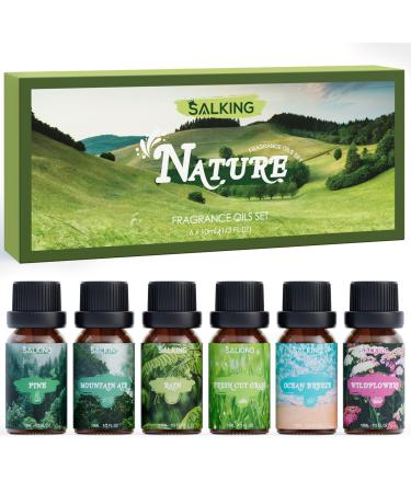 Salking nature essential oil set aromatherapy fragrance oil gift set pure fragrance oils for diffuse humidifiers 6x10 ml (pine sea breeze rain freshly cut grass wildflowers mountain air) - Buy Online on GoSupps.com