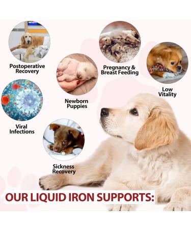 Liquid Iron Supplements for Dogs - with Folate and B12 Supplements Anemia Promotes Blood Health Oxygen Supply and Blood Cell Formation Increase Low Energy Levels Lethargy - 2 oz - Buy Online on GoSupps.com