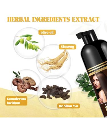 Dark Brown Hair Color Dye Shampoo for Gray Hair - Instant Herbal Ammonia-Free 3-in-1 Formula for Men & Women - Buy Online on GoSupps.com