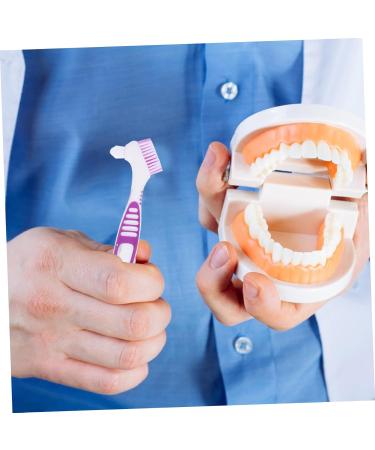 Frcolor 2-Piece Prostheses Cleaning Brush Set | Double-Sided Toothbrush for Cleaning Artificial Dentures | International Shipping Available - Buy Online on GoSupps.com