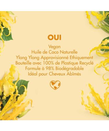 Love Beauty and Planet Repair Shampoo | Nourishing Vegan Formula for Damaged Hair | 400ml - Buy Online on GoSupps.com