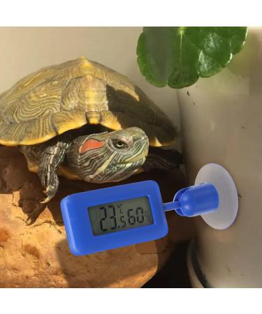 Frcolor Digital Reptile Hygrometer & Thermometer for Bartagame Tanks - Accurate Temperature Monitoring & Display | Sky Blue 10x3x1.5cm - Buy Online on GoSupps.com