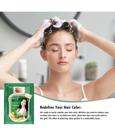 Natural Plant Hair Dye | Botanical Bubble Hair Color & Shampoo | Pure Plant Extracts for Men & Women | Eco-Friendly Black Hair Care - Buy Online on GoSupps.com