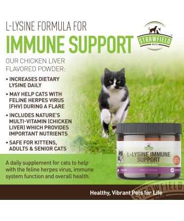 Lysine for Cats - 900mg L Lysine Powder Cat Supplements - Immune Support for Cold, Sneezing, Eye Health - 200 Scoops - USA Made - Buy Online on GoSupps.com