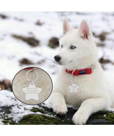 Personalized Engraved Dog Tags by Camal - Custom Stainless Steel Tags for Dogs & Cats | Heart Bone Round & More Shapes - Buy Online on GoSupps.com