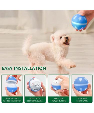 AUKL Interactive Dog Toy | Wicked Ball - Self Moving & Motion Activated - Buy Online on GoSupps.com